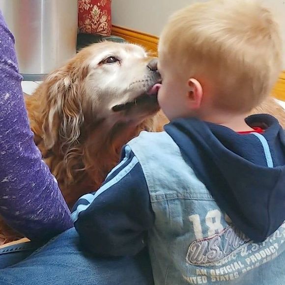 Meet your Posher, Sara - Picture 1 of 1